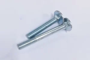 Two stainless steel screws on a white surface with flat washers.