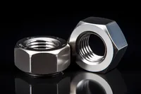 Customized Hex Flange Nuts